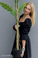 Monstera F, sztuczne drzewko w osłonce donicy