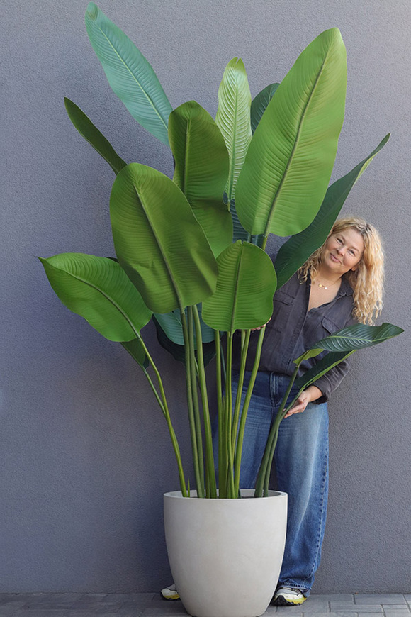 Bananowiec Concrete Ilustria, sztuczna roślina w donicy