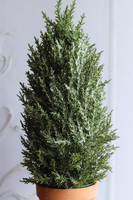 Cyprys Retro, choinka sztuczna w doniczce