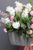 Volcan Neure Hiacynto, kompozycja nagrobna w misie