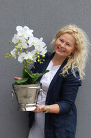 Little Champagne, gumowy storczyk w coolerze