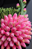 Tulippo New Design Candy 2, dekoracja nagrobna na czarnej podstawie