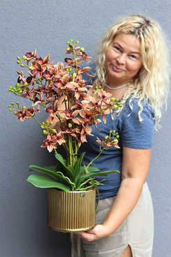 Thai Selania Gold, sztuczny storczyk, wys.65cm