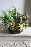 Maria Camino B, kompozycja sukulenty w okrągłej donicy, wym.20x28cm