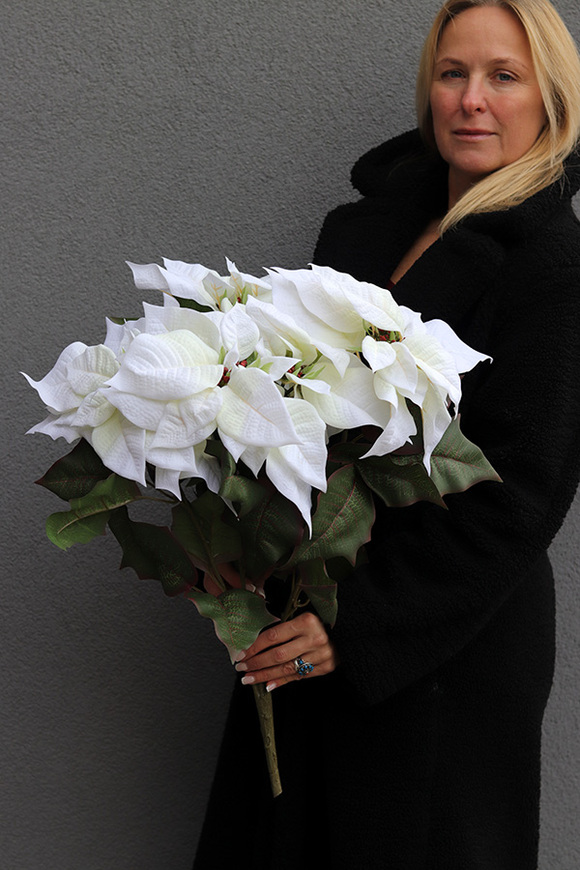 święta_Gwiazda_Betlejemska_Biała