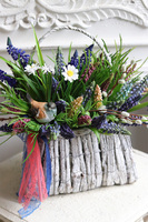 Koszyczek Wiosenny Szafirki