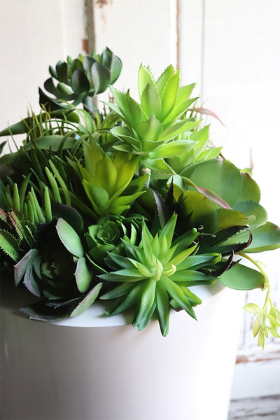 sukulenty w białej donicy, White Grande Fiberglass Suculenti, wys.80cm