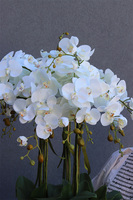 sztuczny storczyk w białej donicy, White Fiberglass Grande Roundi, wys.100cm 