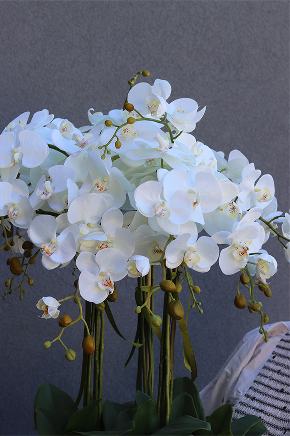 sztuczny storczyk w białej donicy, White Fiberglass Grande Roundi, wys.100cm 