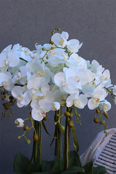 sztuczny storczyk w białej donicy, White Fiberglass Grande Roundi, wys.100cm 