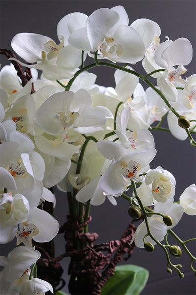 Nullina Silver Tresta, sztuczny storczyk w lustrzanej misie