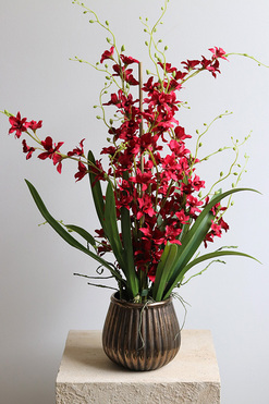 OD RĘKI Red Thai, sztuczny storczyk w donicy, wys.50cm