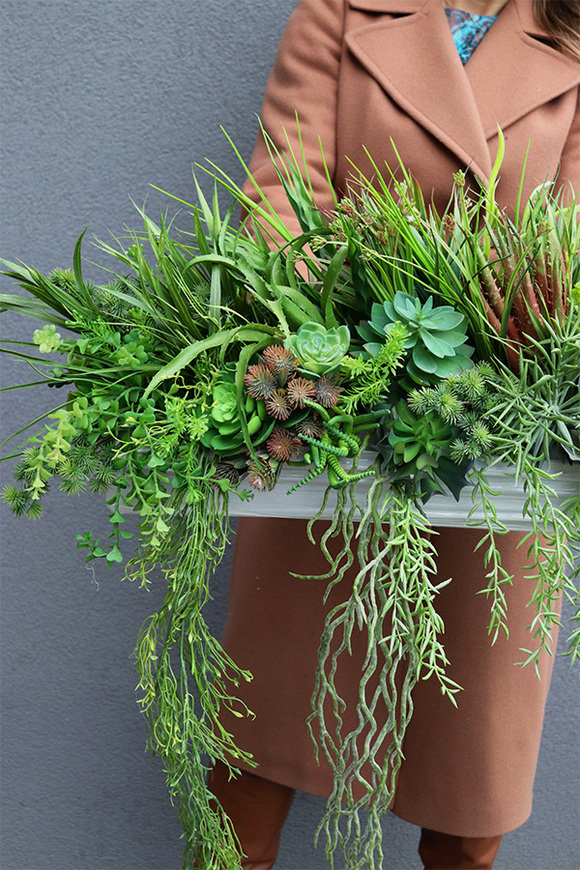 Green Hrefa, kompozycja sukulenty do twojej donicy