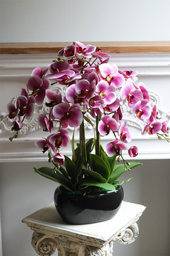 Różana Droga, gumowy różowy storczyk w czarnej donicy, wys.63cm 