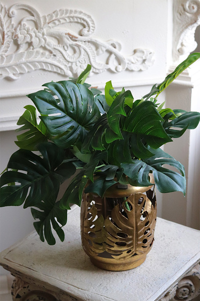 Monstera Gold, drzewko sztuczne w donicy