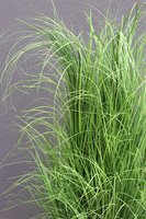 Mediolan Beige sztuczna trawa w donicy