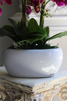 Pink Nelli, fuksjowy sztuczny storczyk w donicy