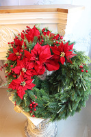 Gwiazda betlejemska Hilton 3, świąteczny wianek dekoracyjny