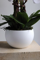 Mattia, sztuczny storczyk w donicy