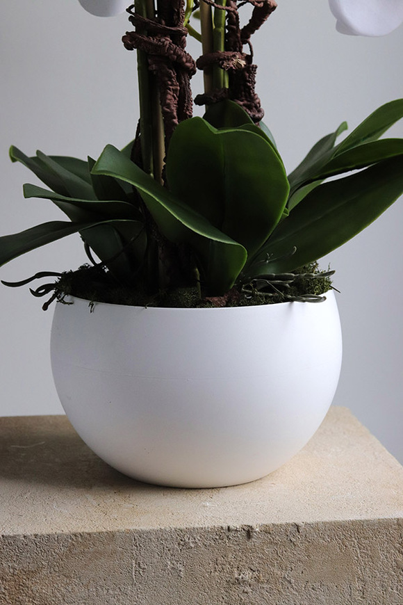 Mattia, sztuczny storczyk w donicy