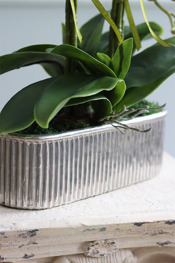 ekskluzywny storczyk w srebrnej donicy, Allain Silver, wys.54cm