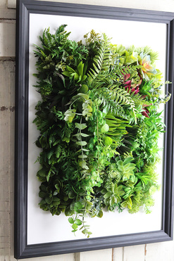 czarna jednostronna rama Gefria Hotels Sukulenty, wym.77x57cm  