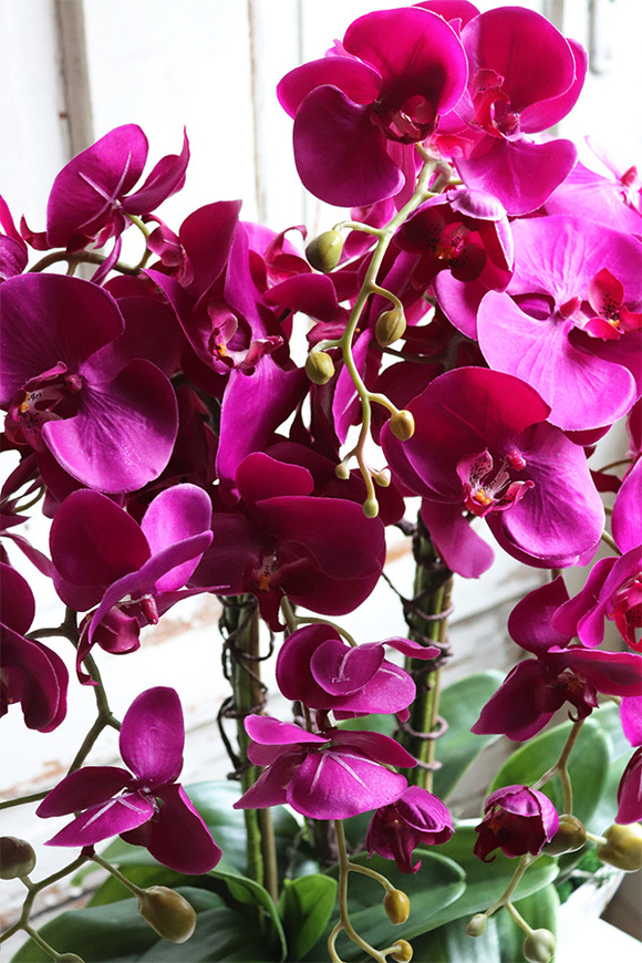 Laos Fuksja Big, sztuczny storczyk w białej donicy, wys.68cm