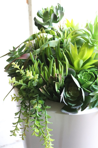 sukulenty w białej donicy, White Grande Fiberglass Suculenti, wys.80cm