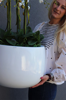 sztuczny storczyk w białej donicy, White Fiberglass Grande Roundi, wys.100cm 