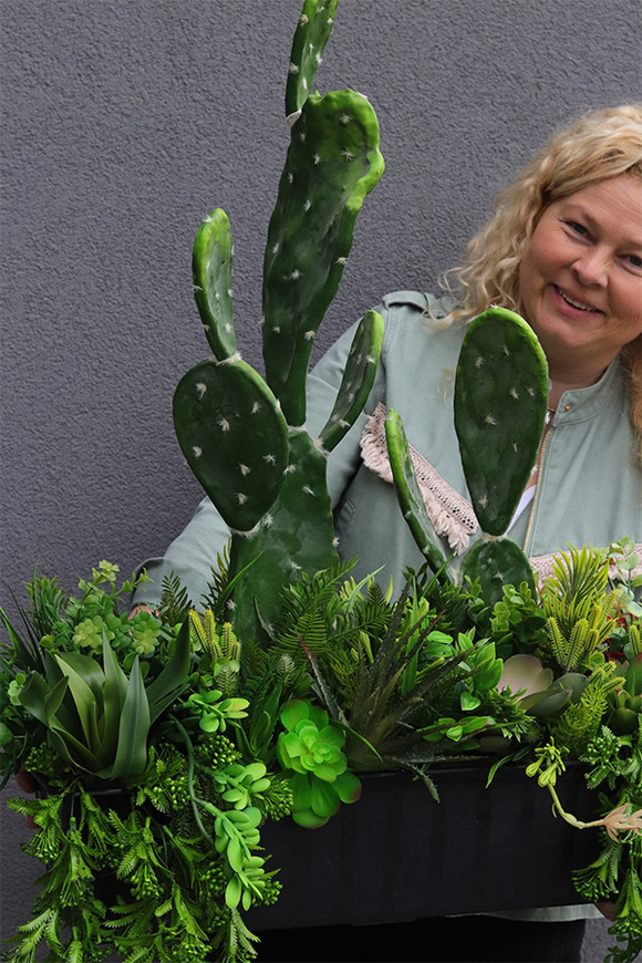 Opuncja Cacti Saute, sukulenty z kaktusem do Twojej donicy