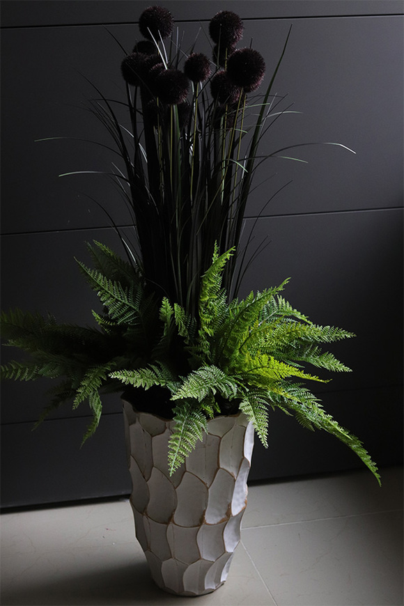 Black Canada, kompozycja z trawami