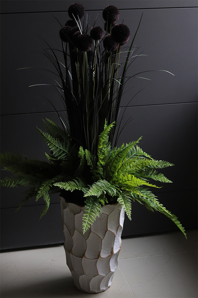 Black Canada, kompozycja z trawami