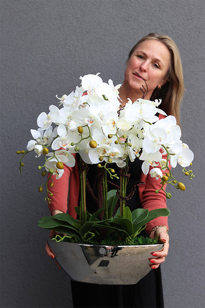 Laos Big Silver Kaskada, storczyk w srebrnej donicy