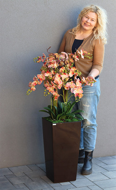 Castello Wenito Granada, gumowy storczyk w brązowej donicy, wys.120cm