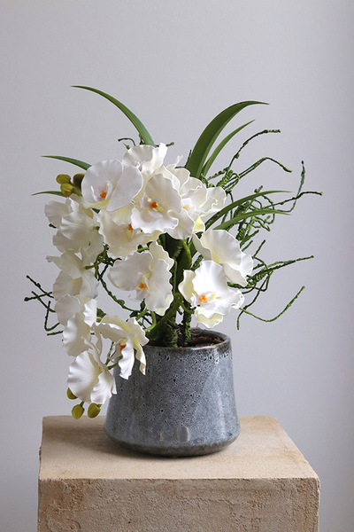 Orientana, gumowy sztuczny storczyk w ozdobnej donicy