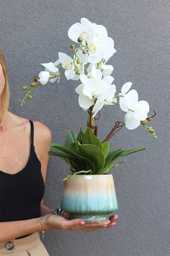 Gretiena  2, sztuczny storczyk w doniczce ombre, wys.56cm 