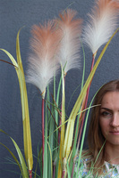  sztuczna trawa Pióropusze, beż, wys.120cm