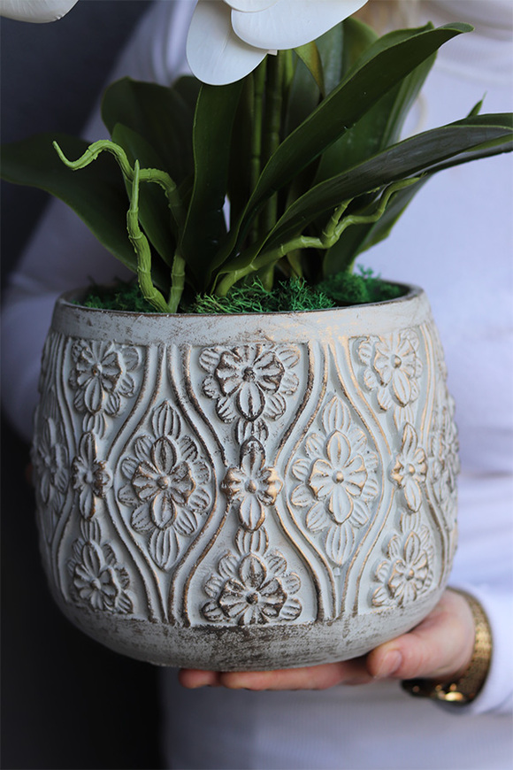 Nerulena, gumowy storczyk w rustykalnej donicy