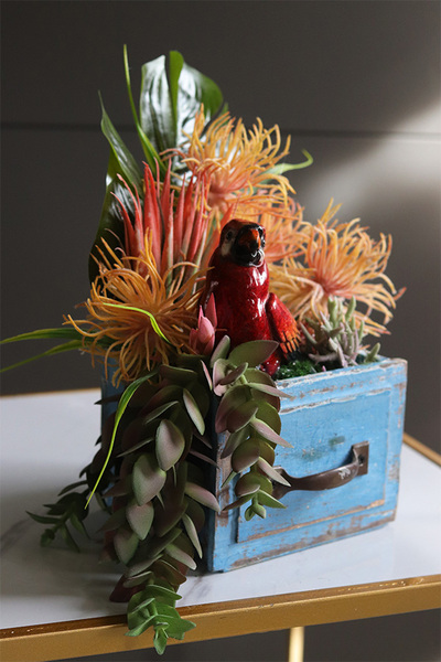 Papuga, egzotyczna dekoracja w szufladzie