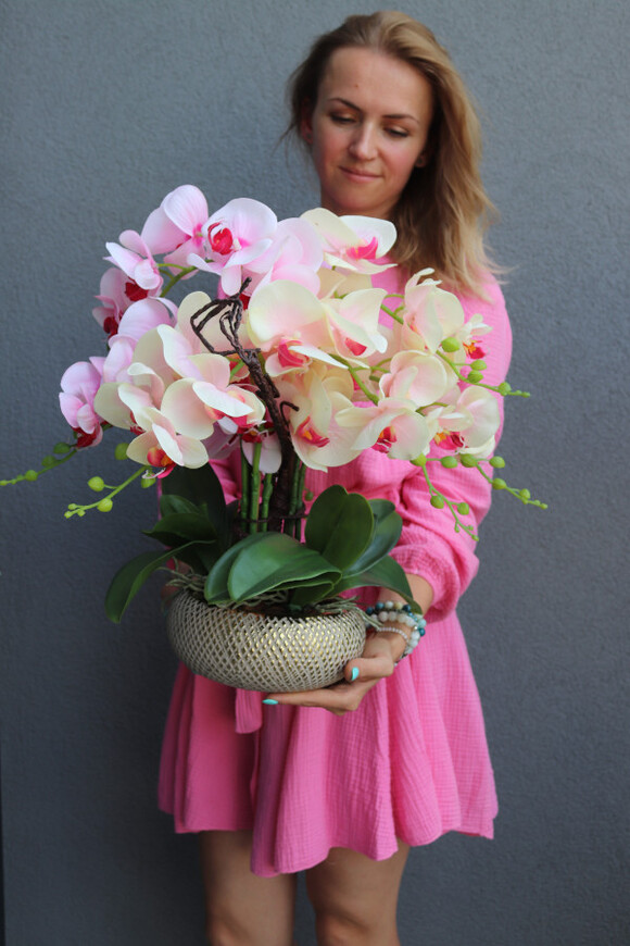 Twister Glamour, kolorowy storczyk w złotej donicy