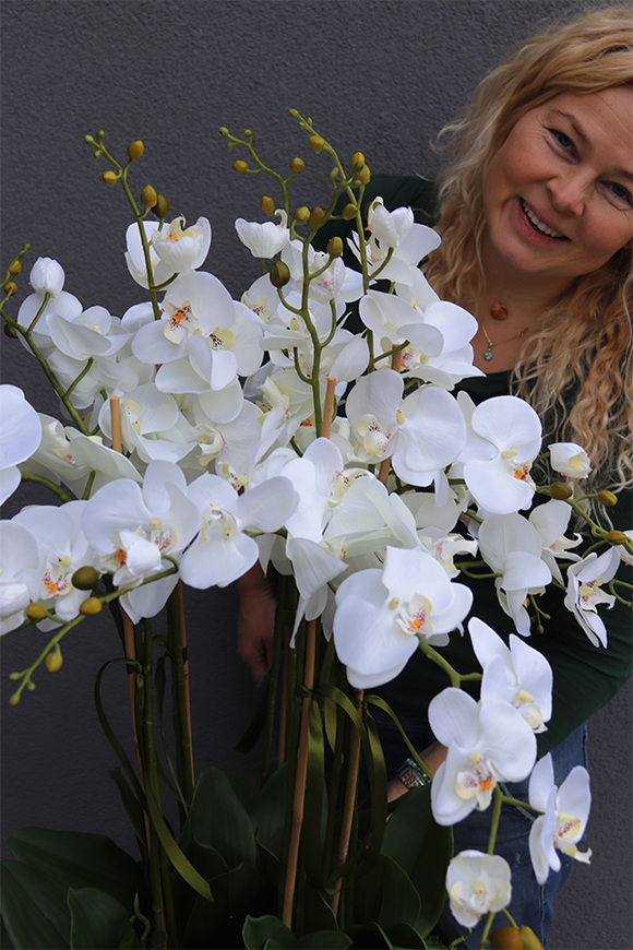 duży storczyk Mediolan Grande w białej donicy, wys.140cm 