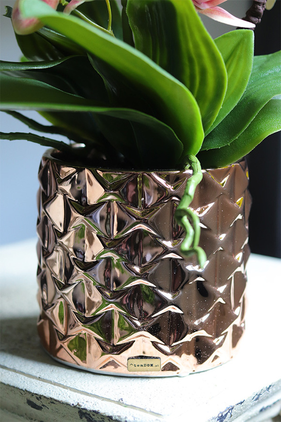 Cherry Nedera, różowy gumowy storczyk glamour