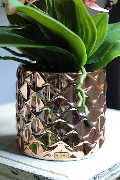 Cherry Nedera, różowy gumowy storczyk glamour