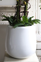 Fiberglass White Grande Ferita, sztuczny storczyk w białej donicy, wys.105cm 