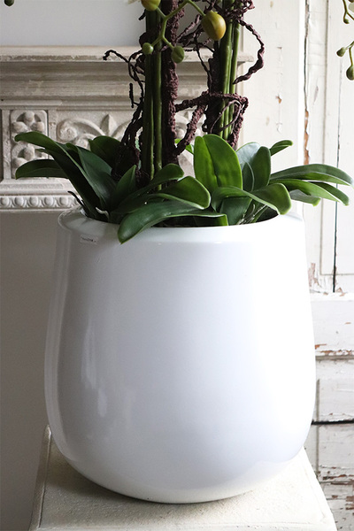 Fiberglass White Grande Ferita, sztuczny storczyk w białej donicy, wys.105cm 