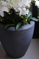 Grey House, sztuczny storczyk w ceramicznej donicy