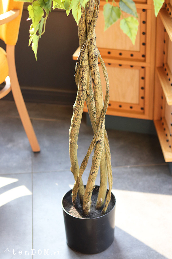 Brzoza, sztuczna roślina w doniczce