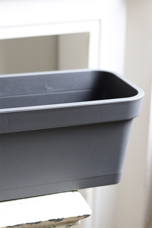 Lobelia, balkonowa osłonka doniczka na kwiaty