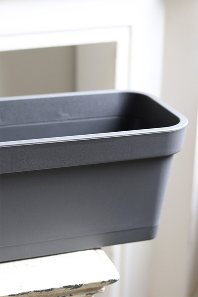 Lobelia, balkonowa osłonka doniczka na kwiaty