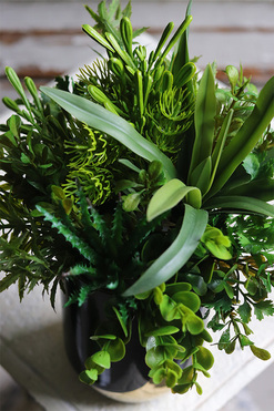 Best Green Glamour, kompozycja sukulenty w donicy, wys.29cm 